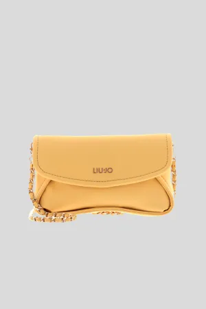 S Envelope/Belt B - Pinapple