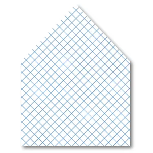 Spring Tulips Envelope Liner