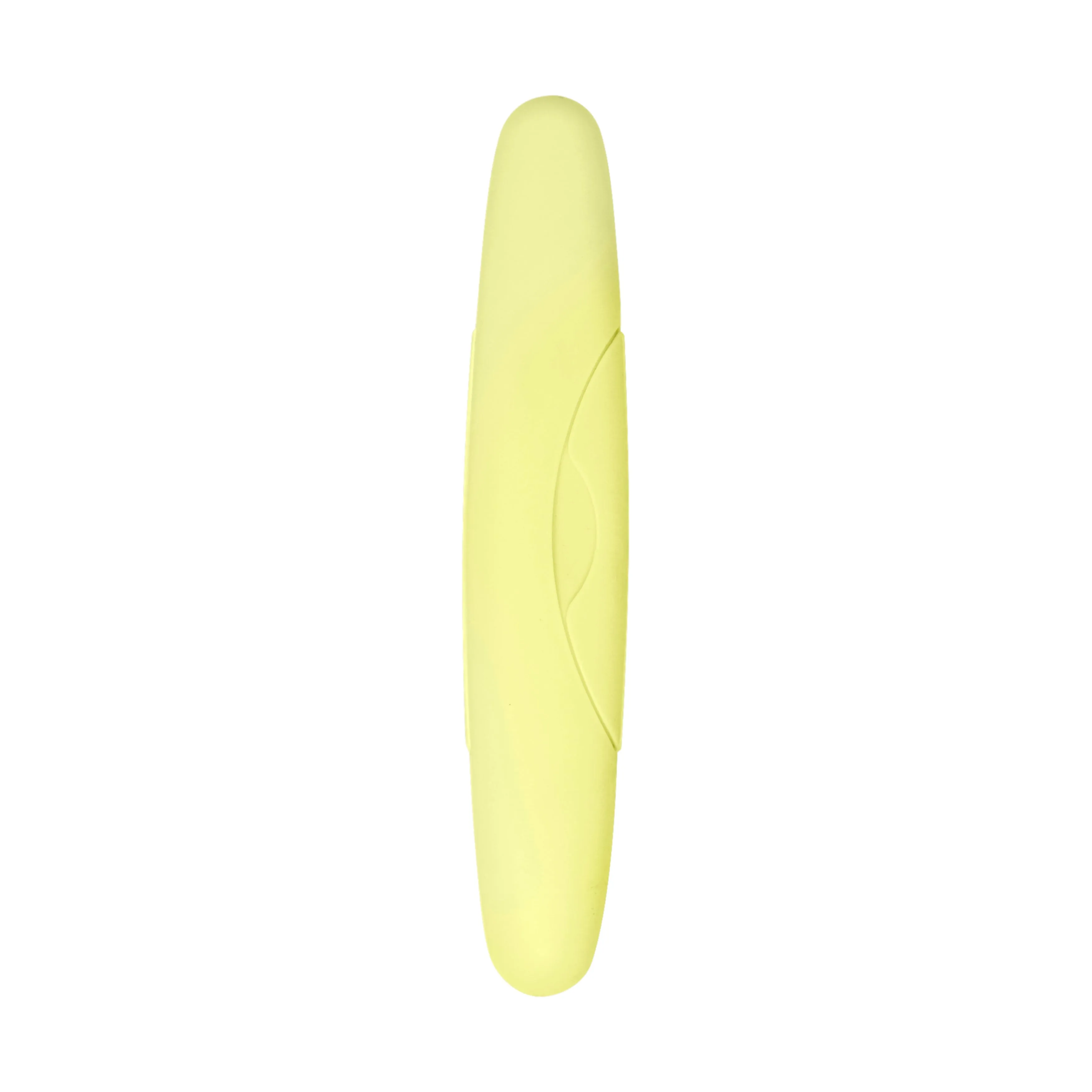 Standard Toothbrush Case
