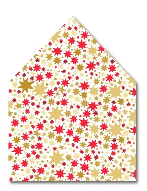 Star of Wonder Envelope Liner