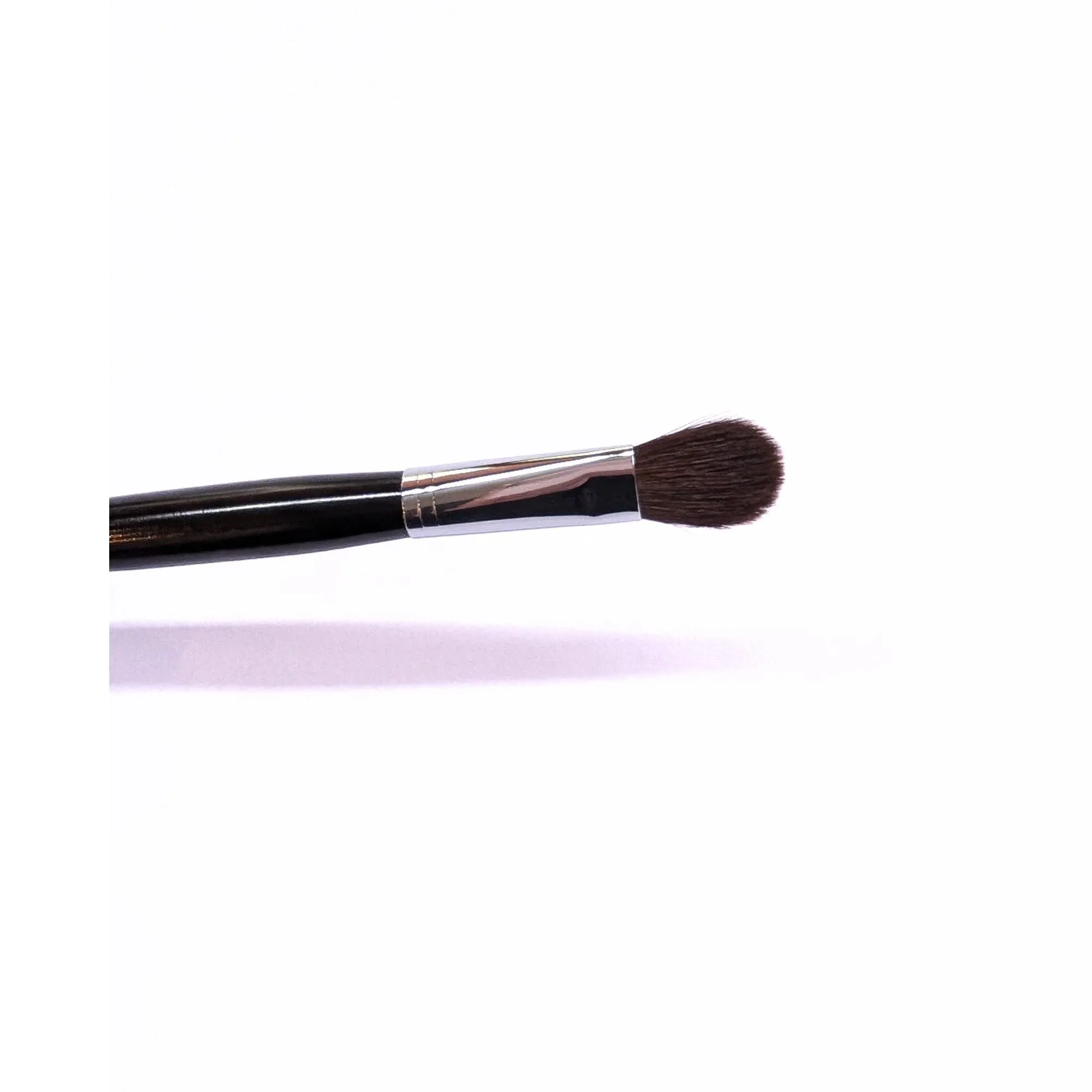 Tanseido KQ10B Eyeshadow Brush, Black Handle (Black Friday Deal)