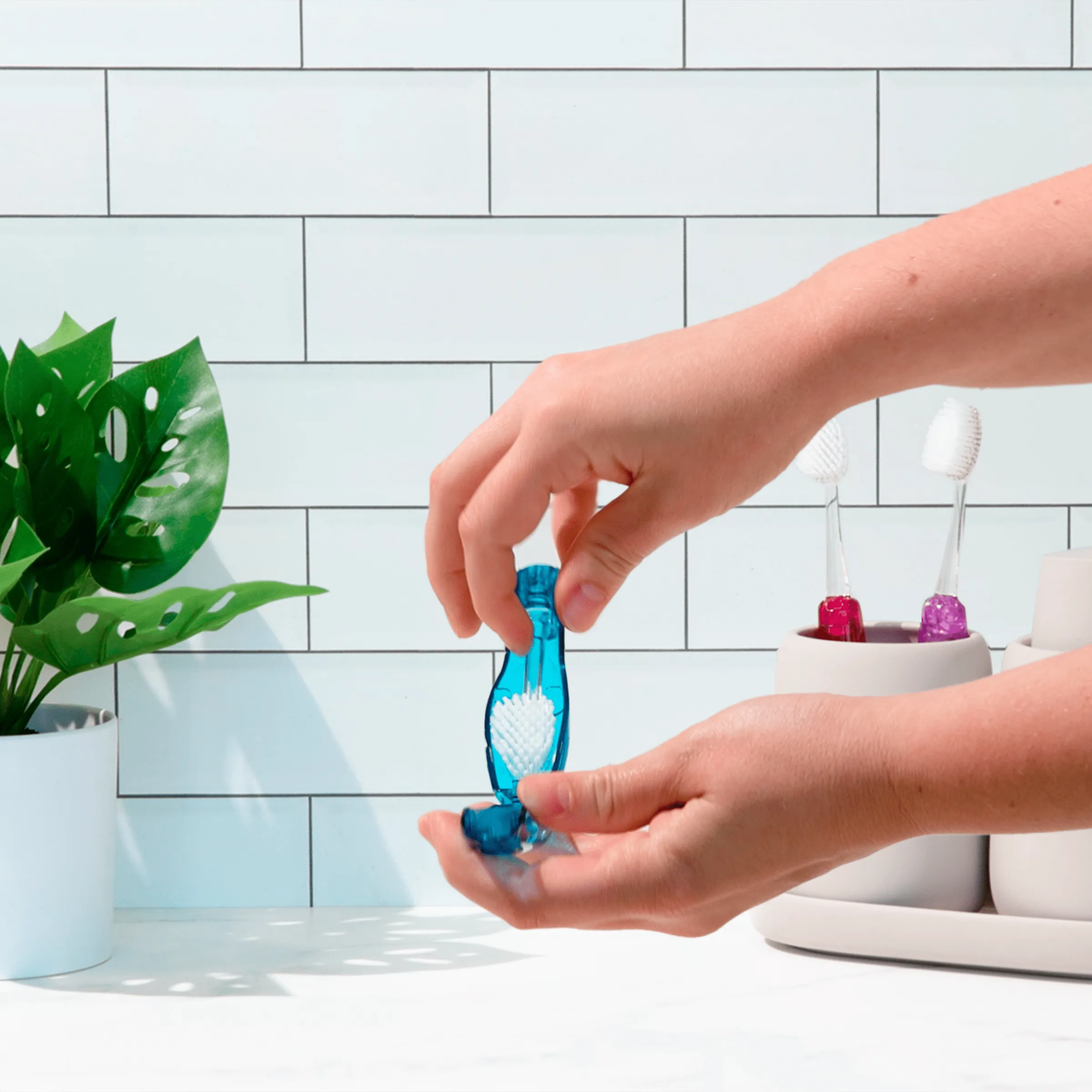Tour™ Travel Brush