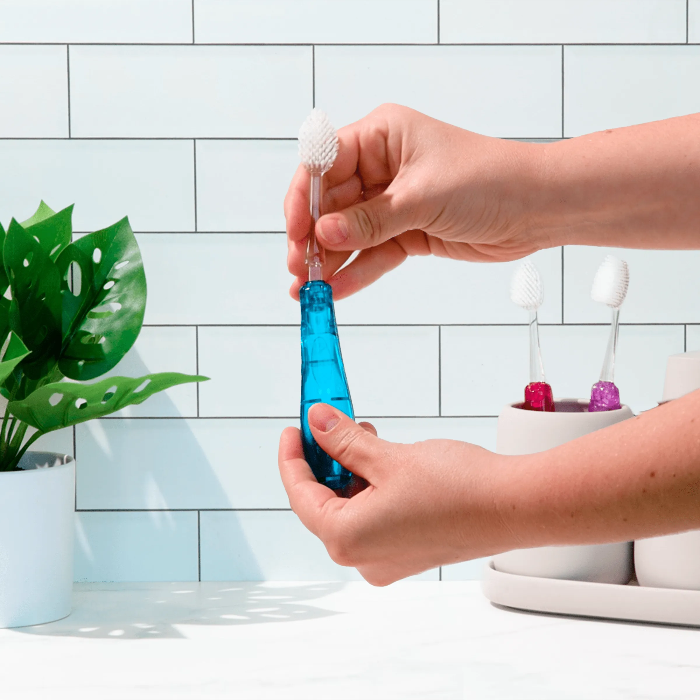 Tour™ Travel Brush