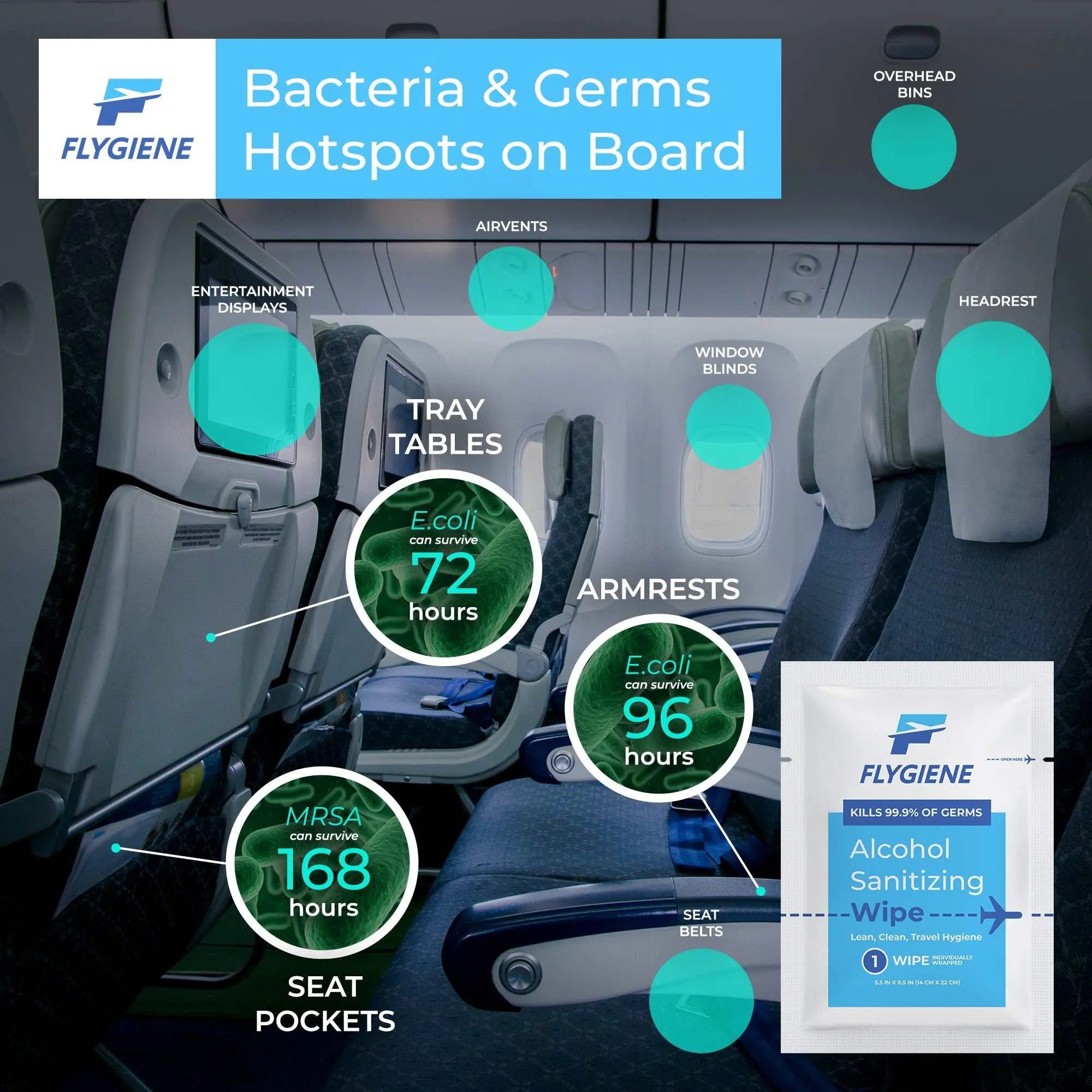 Travel Sanitizing Wipes | 10 Count (1 Pack of 10)
