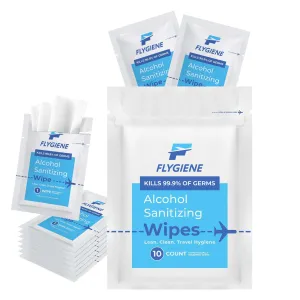 Travel Sanitizing Wipes | 10 Count (1 Pack of 10)