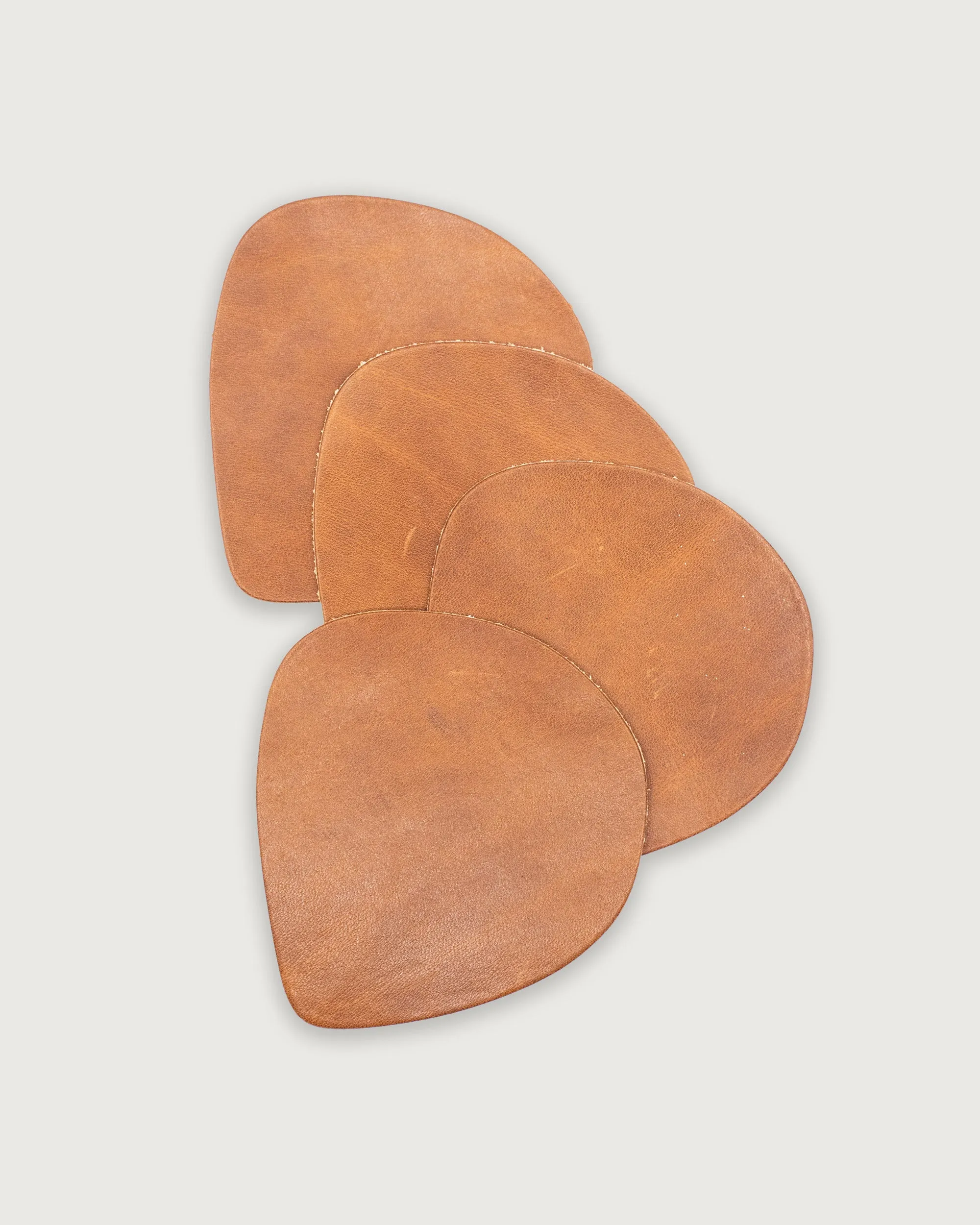 Wabi Sabi Coasters in Bridle