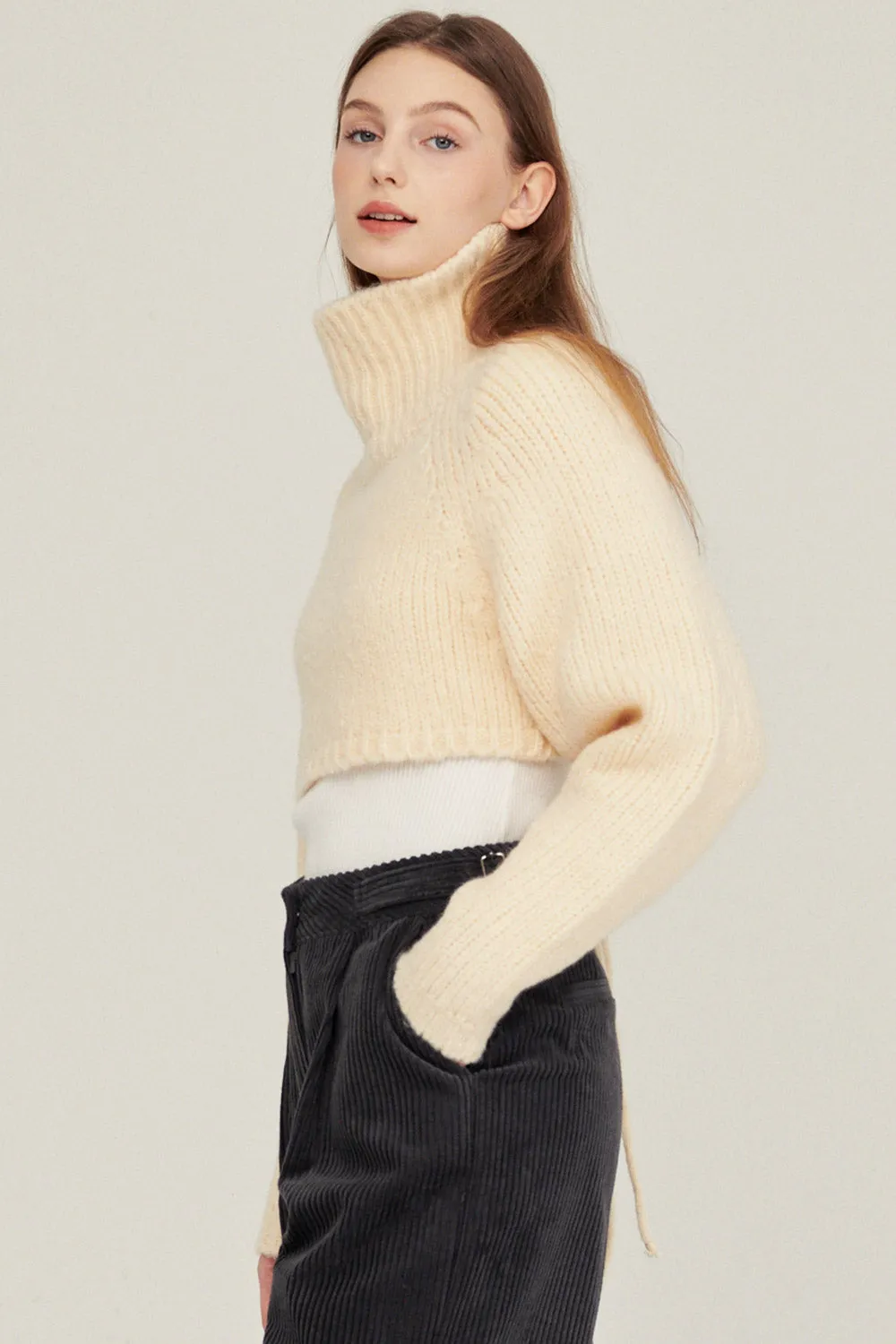 Whitney Two-way Cropped Sweater